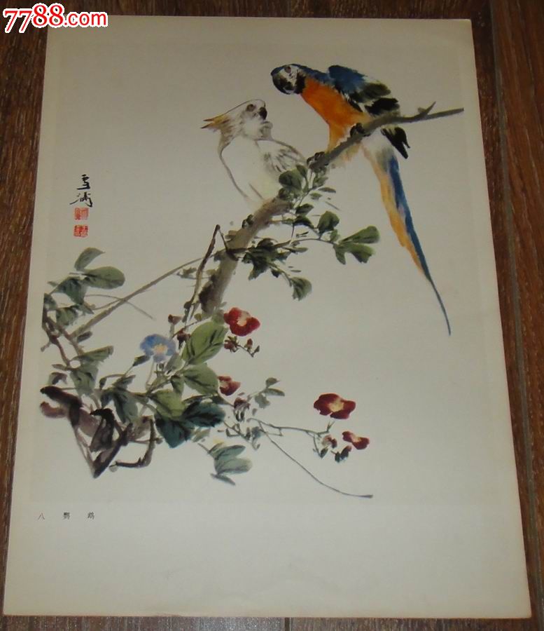 8开国画画集册页之散页鹦鹉王雪涛