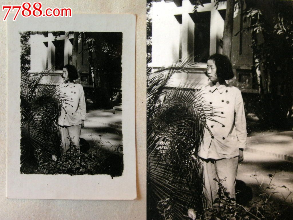 老照片收藏1312E060-50年代列宁服女子向左看小照3.8-2.5CM-价格:15元-se25453527-老照片-零售-7788收藏__收藏热线