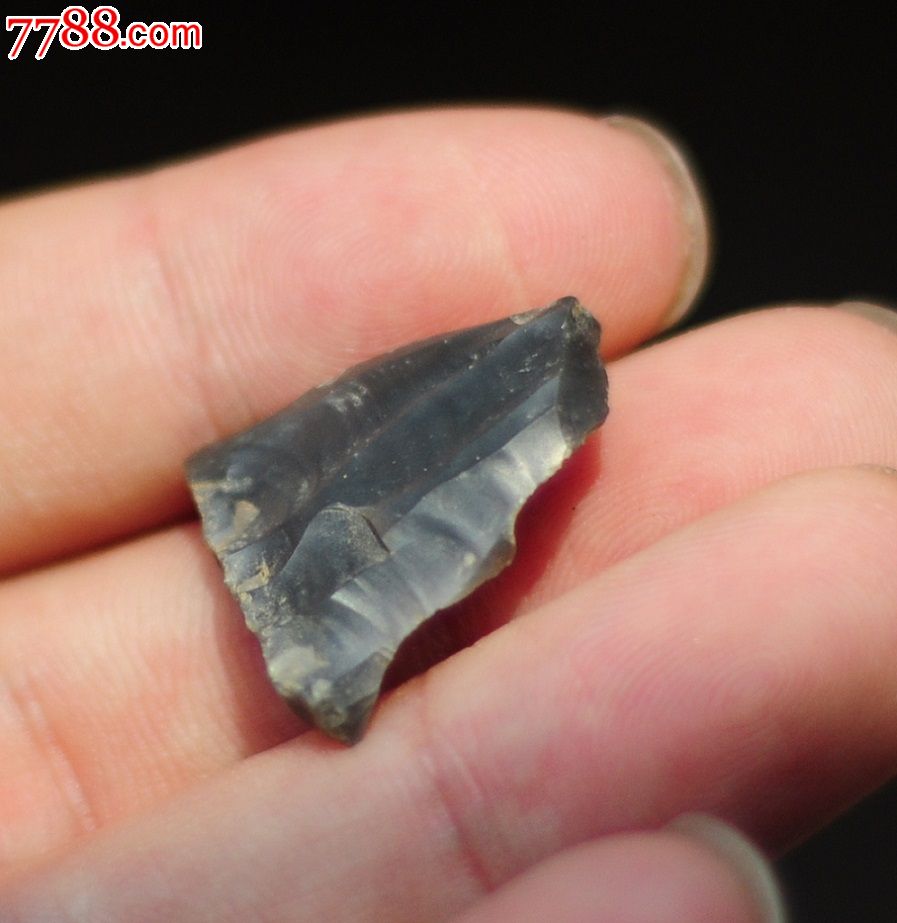 河北唐山市采集新石器时代石叶石核刮削器1件