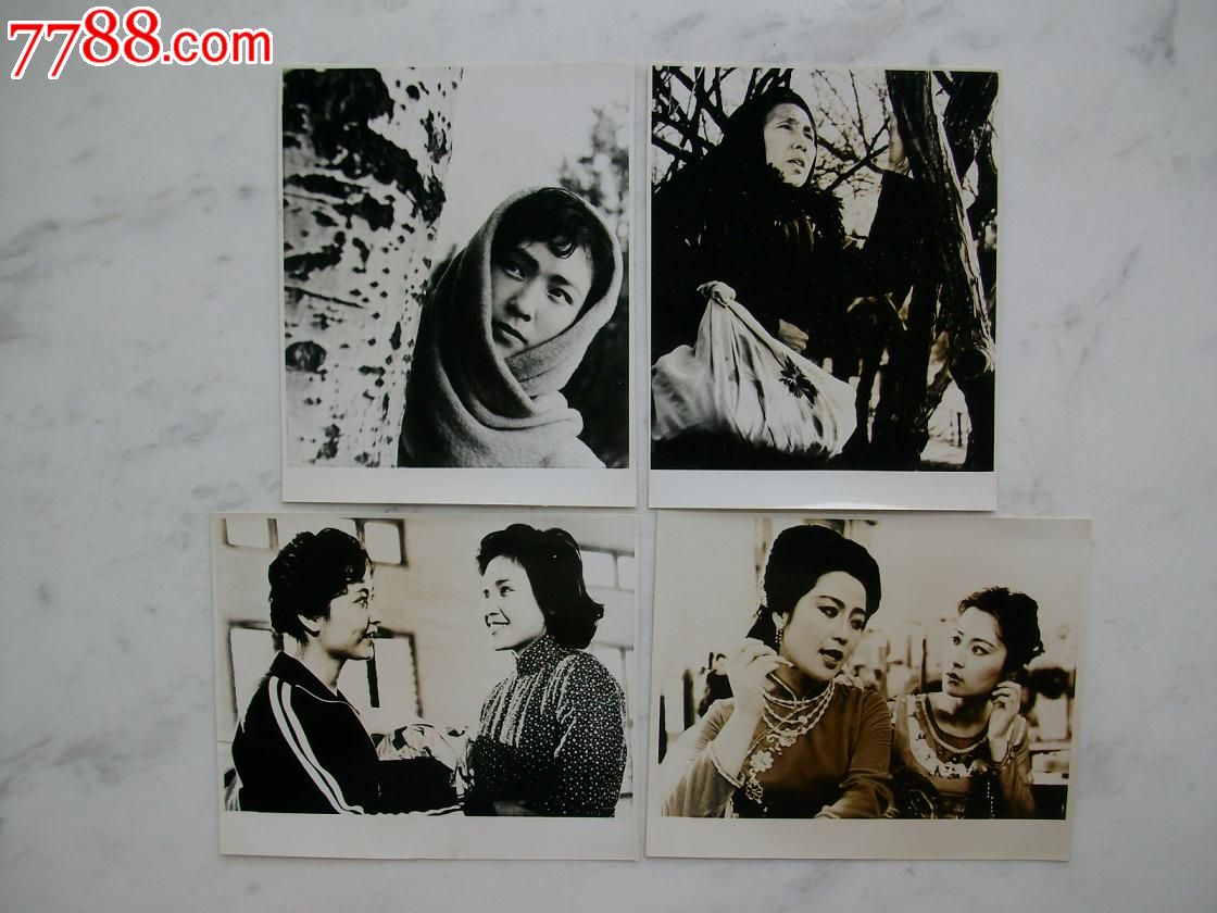 电影剧照白杨树下