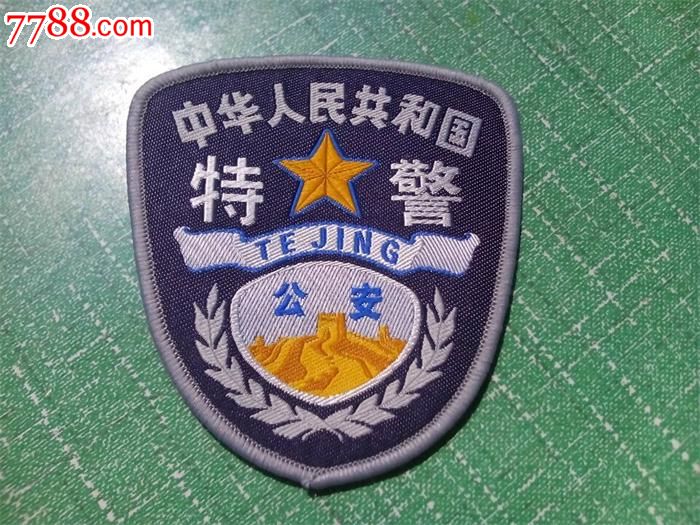 中国特警臂章图片