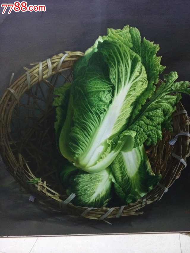 朝鲜油画大白菜图片
