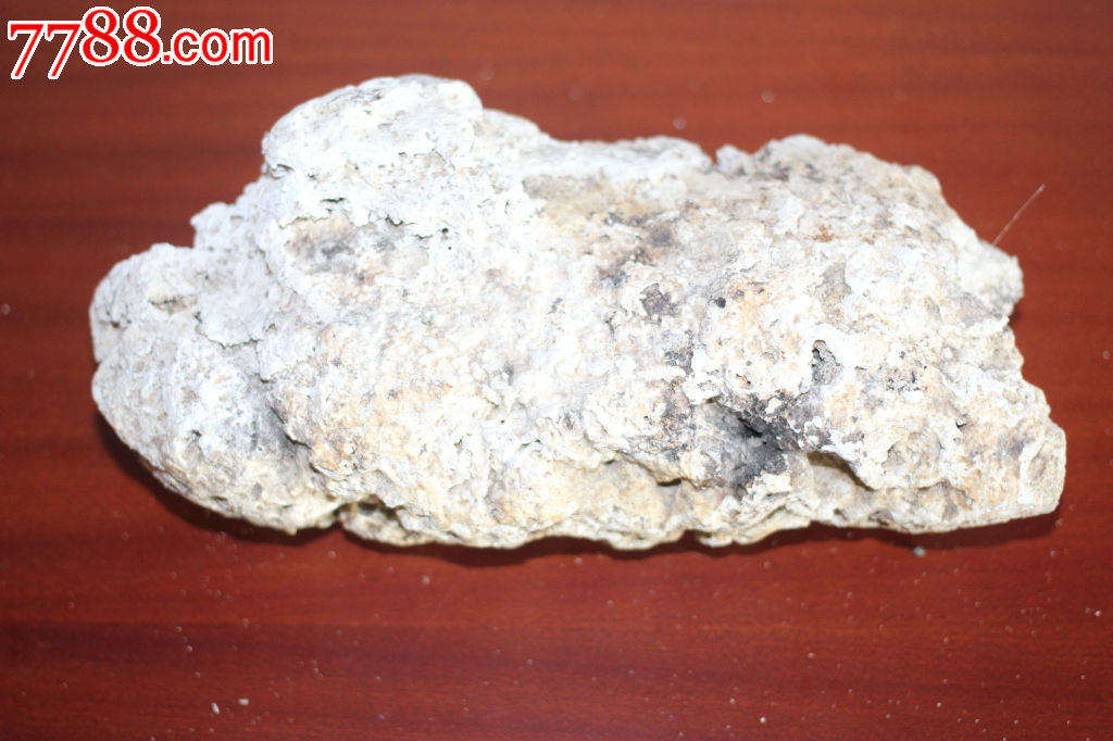 天然龙涎香ambergris灰琥珀