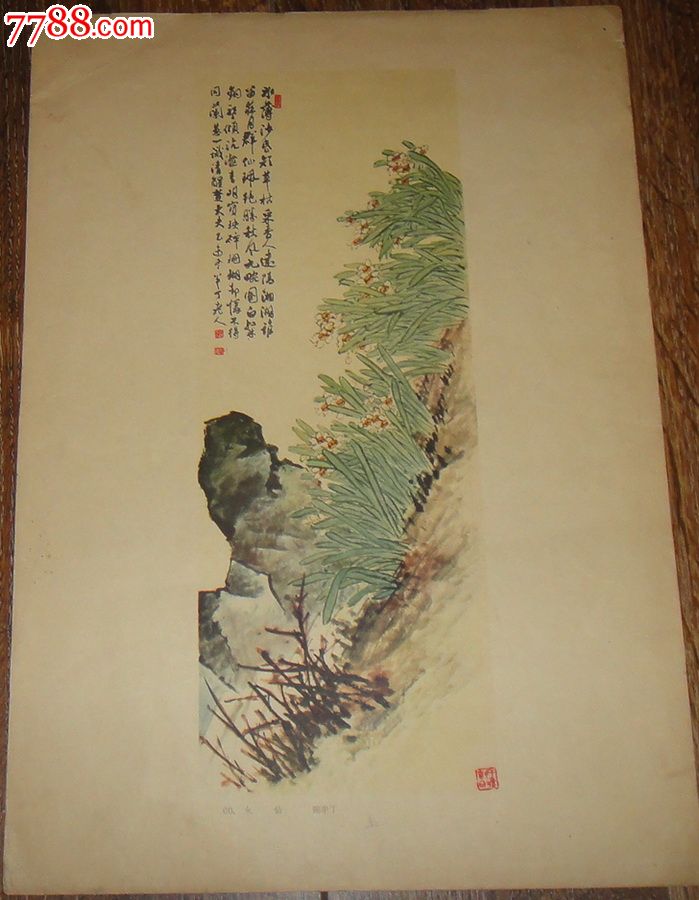 八开【水仙】陈半丁绘