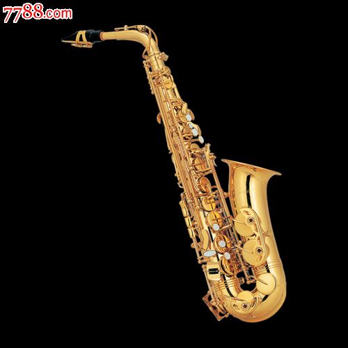 北京哪里卖萨克斯价格最低国产最高档大师萨克斯北京哪里有萨克斯培训