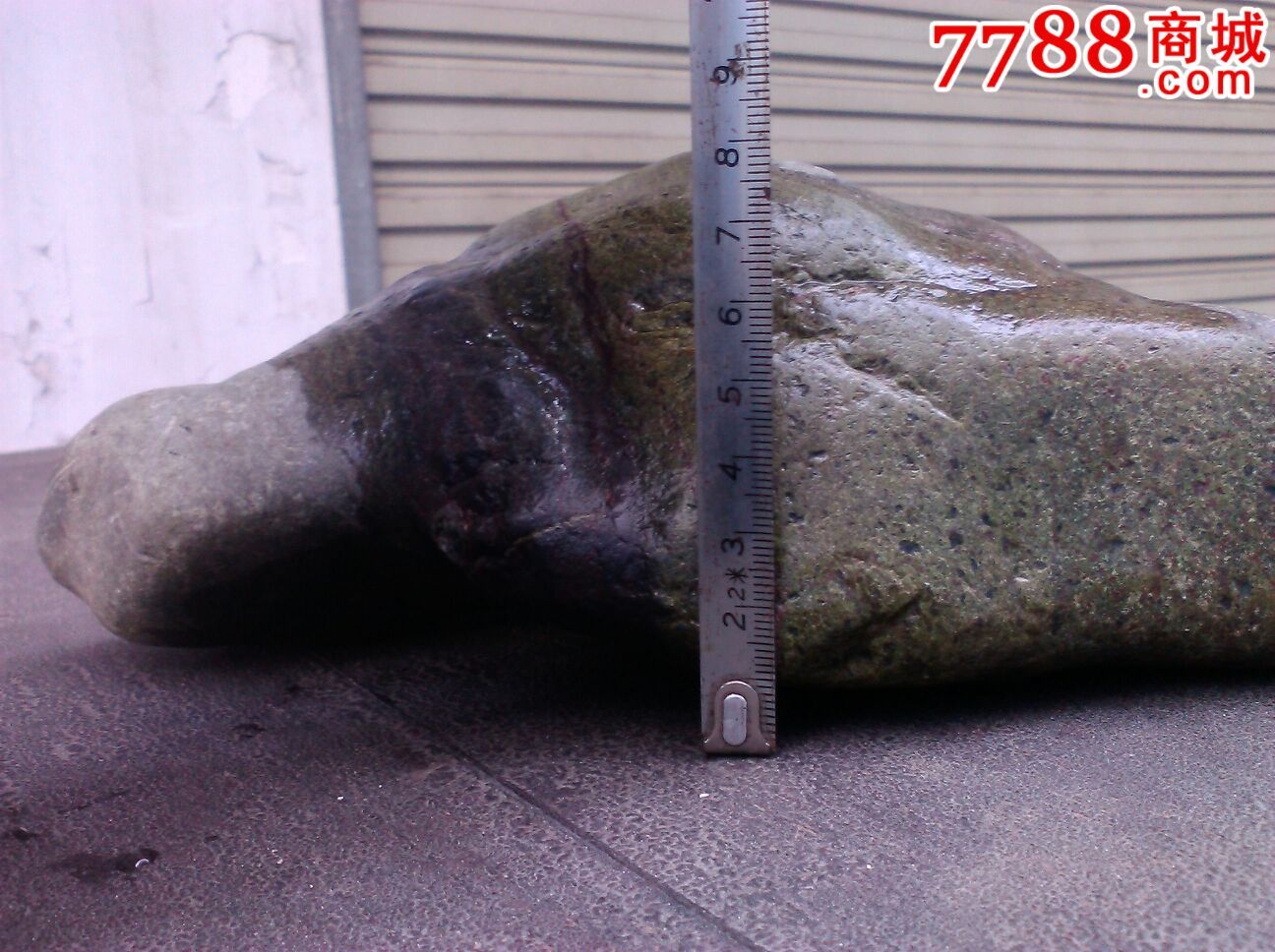 碧绿神龟带紫色23x8cm天然嘉陵江绿彩石