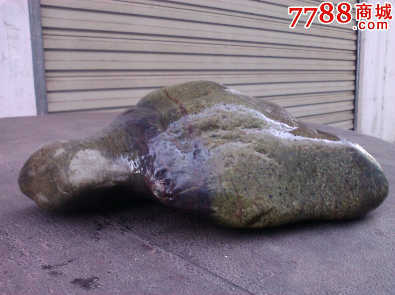 碧绿神龟带紫色23x8cm天然嘉陵江绿彩石