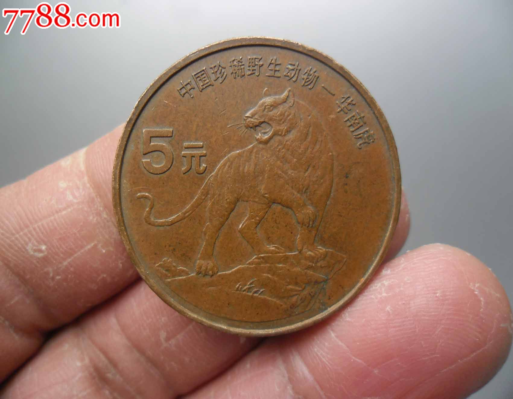 5元硬币【华南虎,中华鲟】,普通纪念币,黄铜纪念币,珍稀动物系列,九十