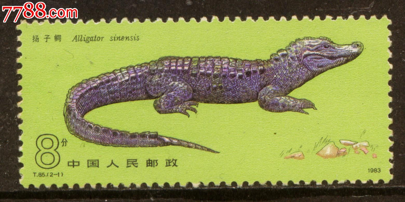 t85扬子鳄2-1全新散票上品-se27595065-新中国邮票-零售-7788收藏
