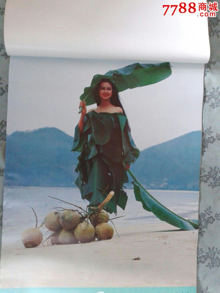 1991年挂历·南国情