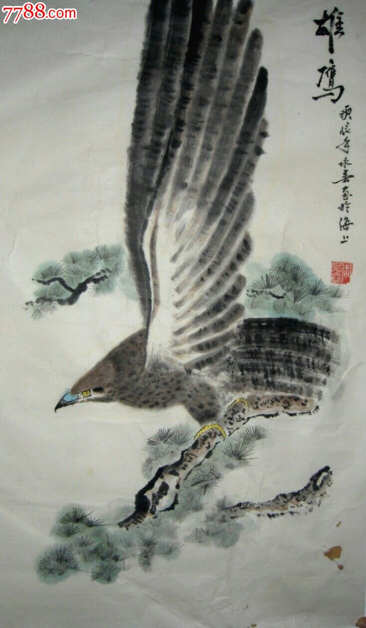 雄鷹展翅_花鳥國畫原作_第1張_7788字畫網