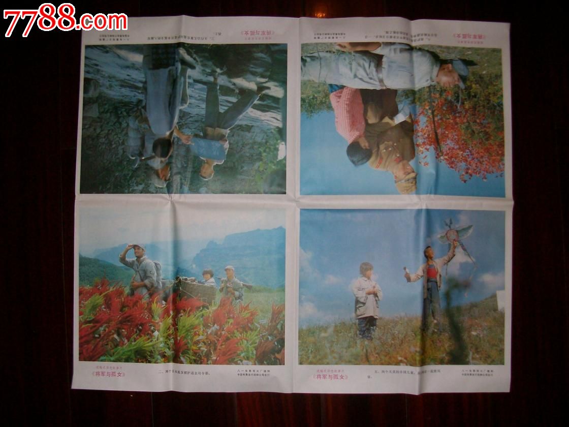 电影海报将军与孤女