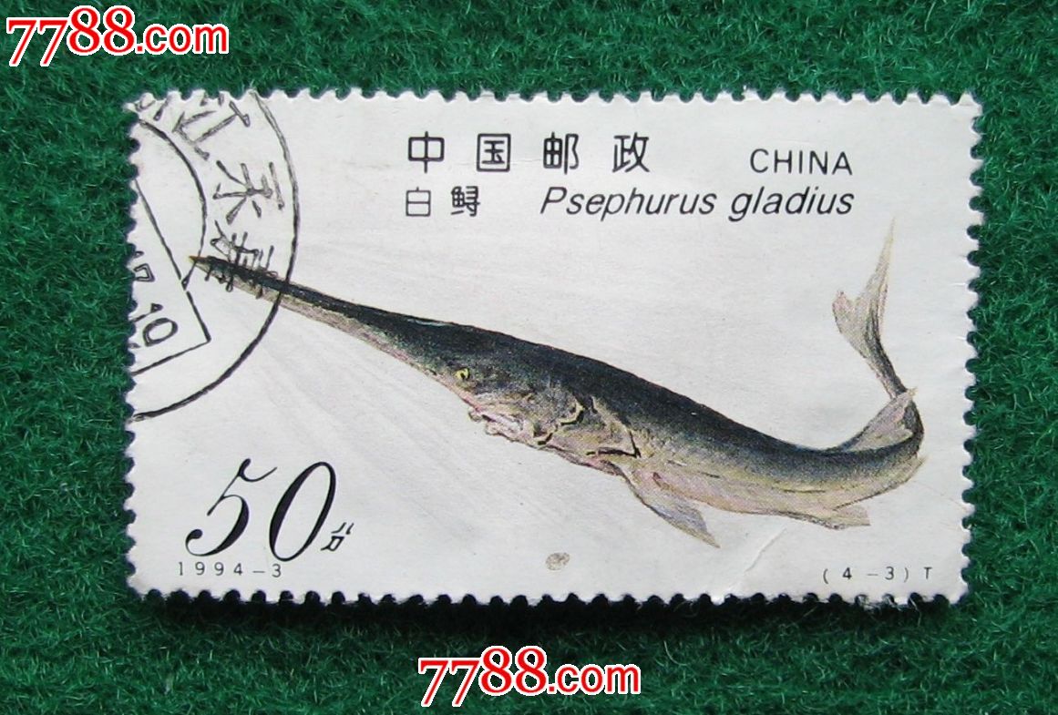 中华鲟邮票价值图片