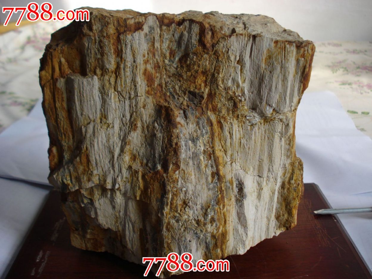 硅化木,木化石(精品)_硅化木/木化石_酒瓶化石居【7788收藏__收藏热线】