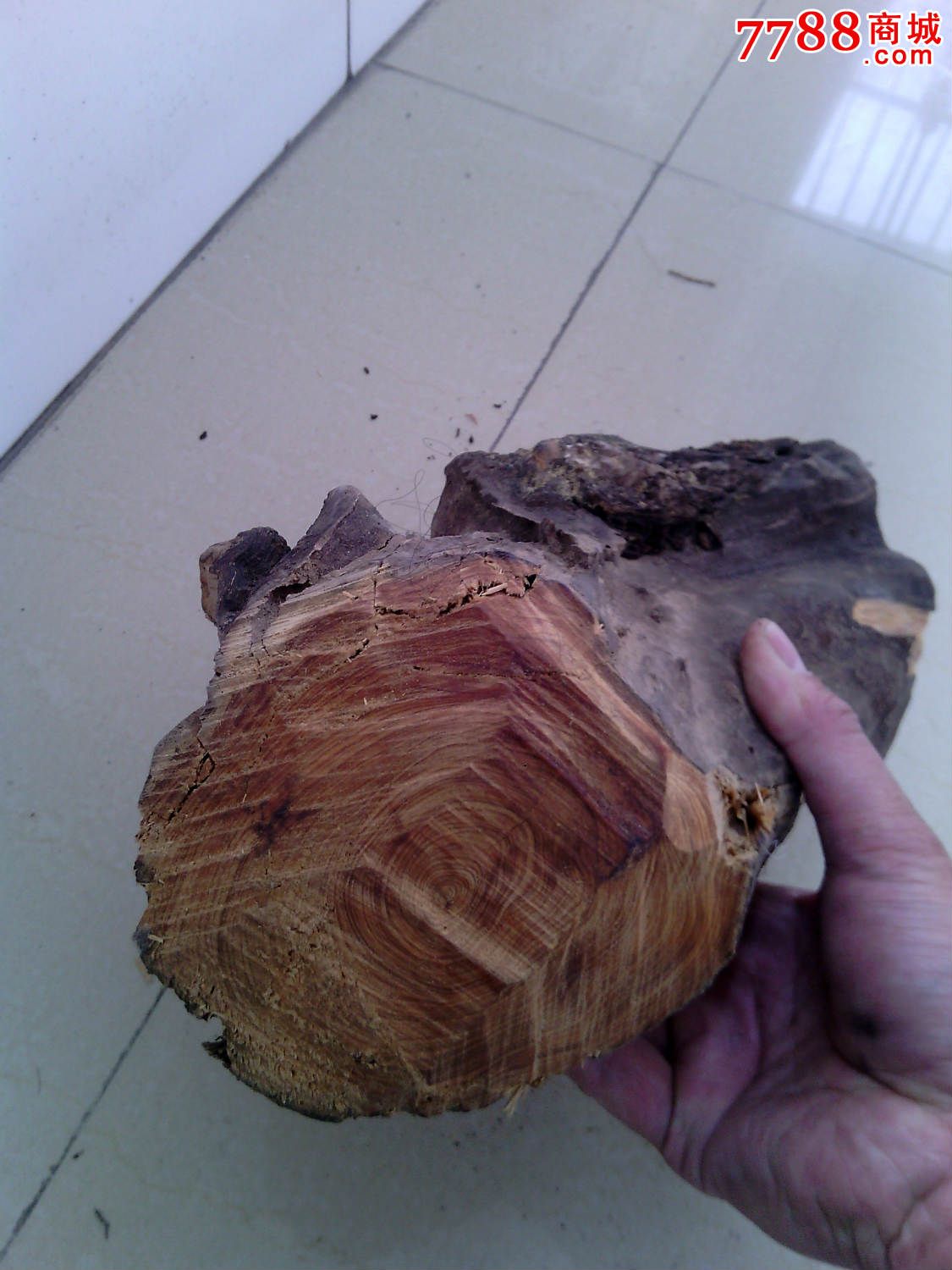 崖柏小毛料两块(陈化老料,柏木香味浓)