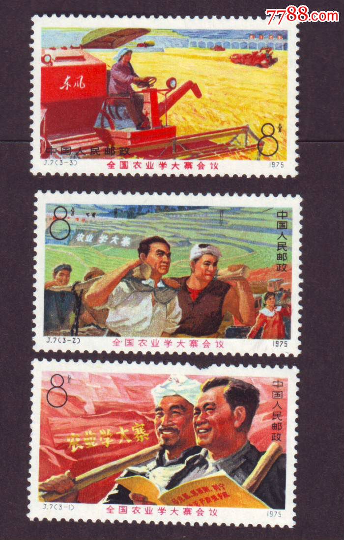 j7大寨新票套票近上品特价