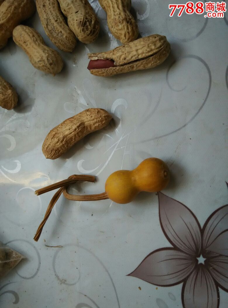 花生大的小葫芦