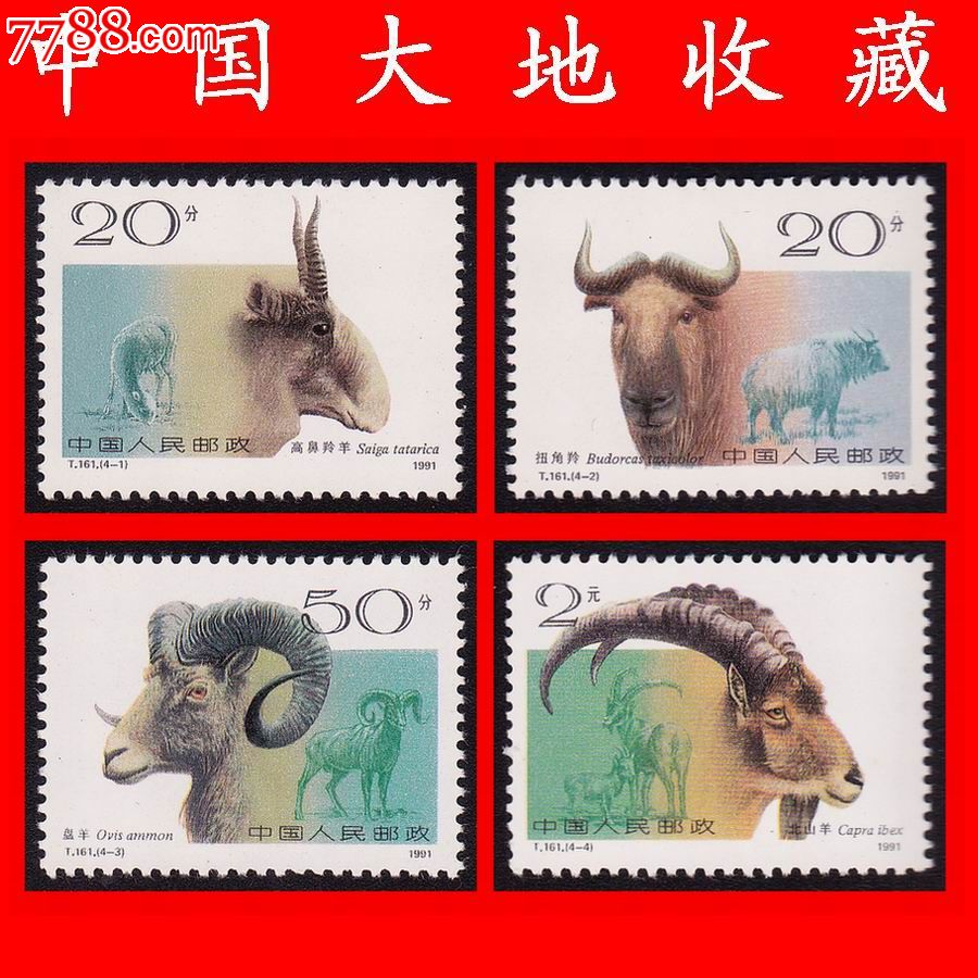 t161《野羊》特种邮票(1991年)全新套票(4全)实物图片