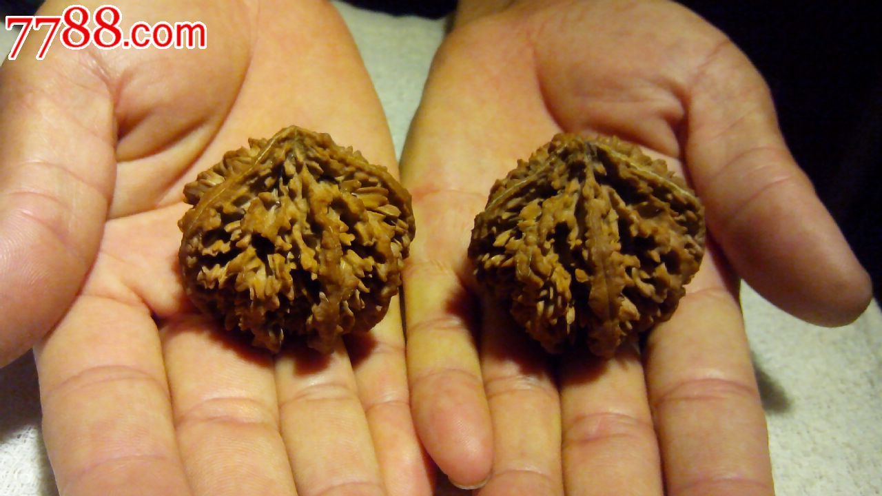 陕西灯笼,秦岭野生核桃,精品配对文玩核桃,少见