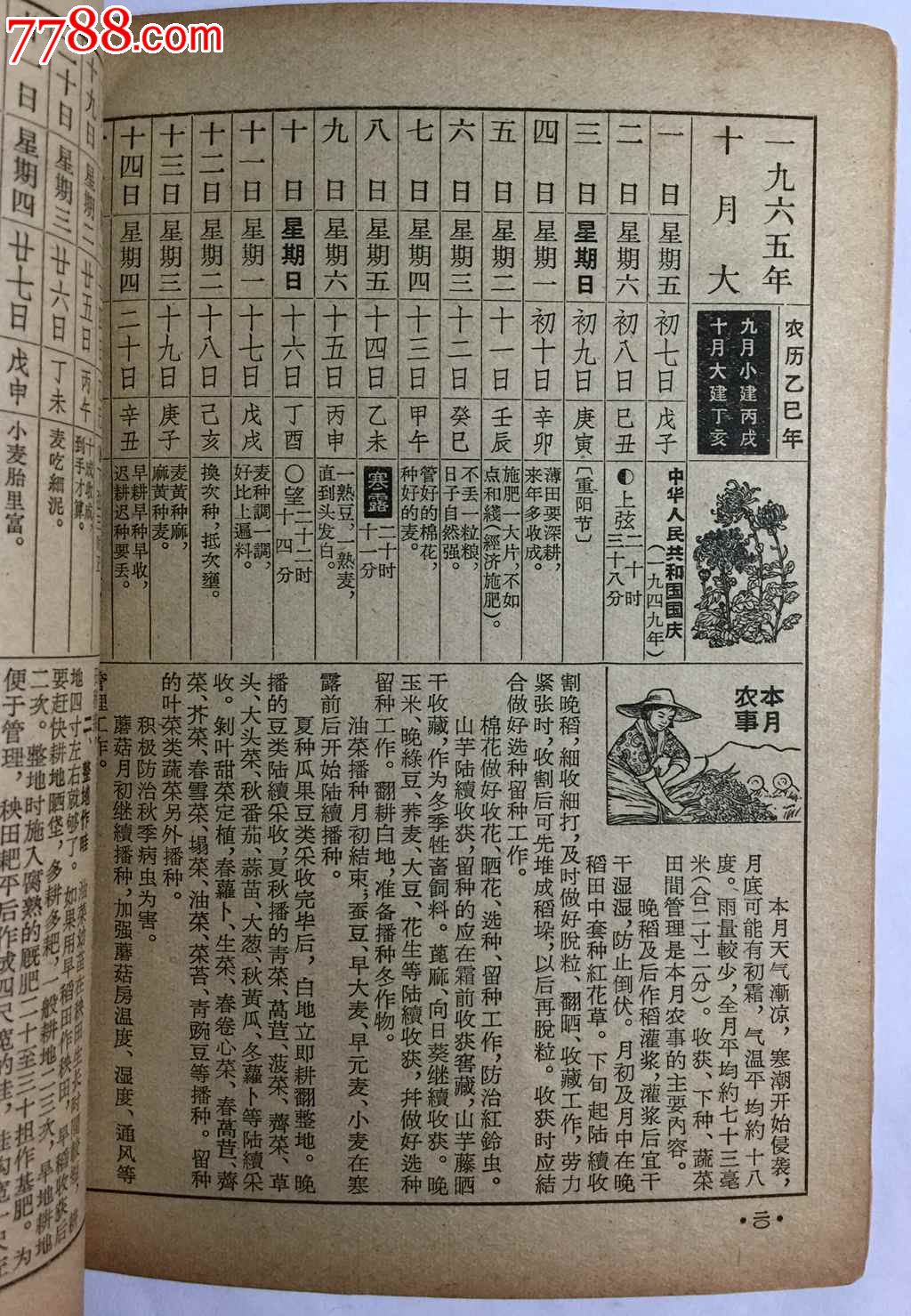 1965年日历图片