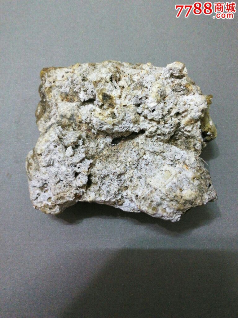 精品天然白色龙涎香ambergris