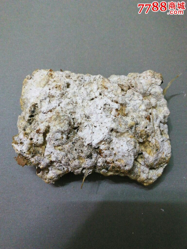 (精品)天然白色龙涎香/ambergris