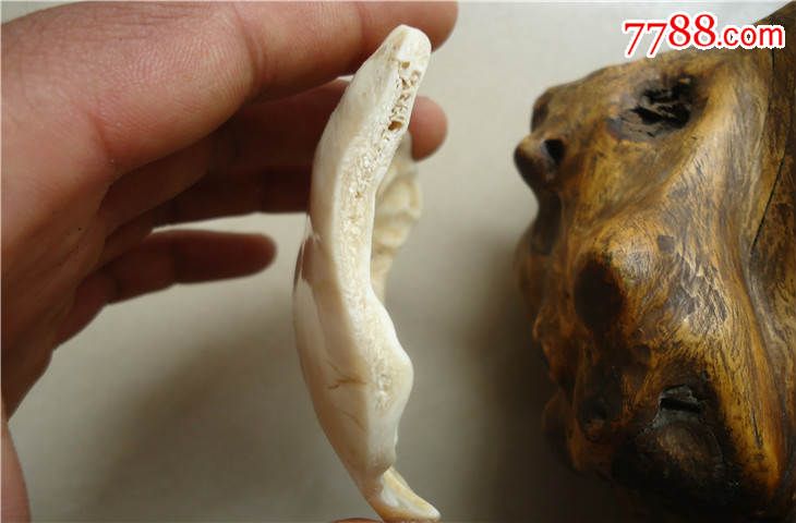 鹿头盖骨三界牌高端佛珠配件