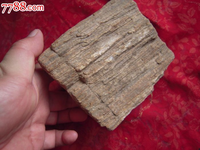 年代久远之木化石一块