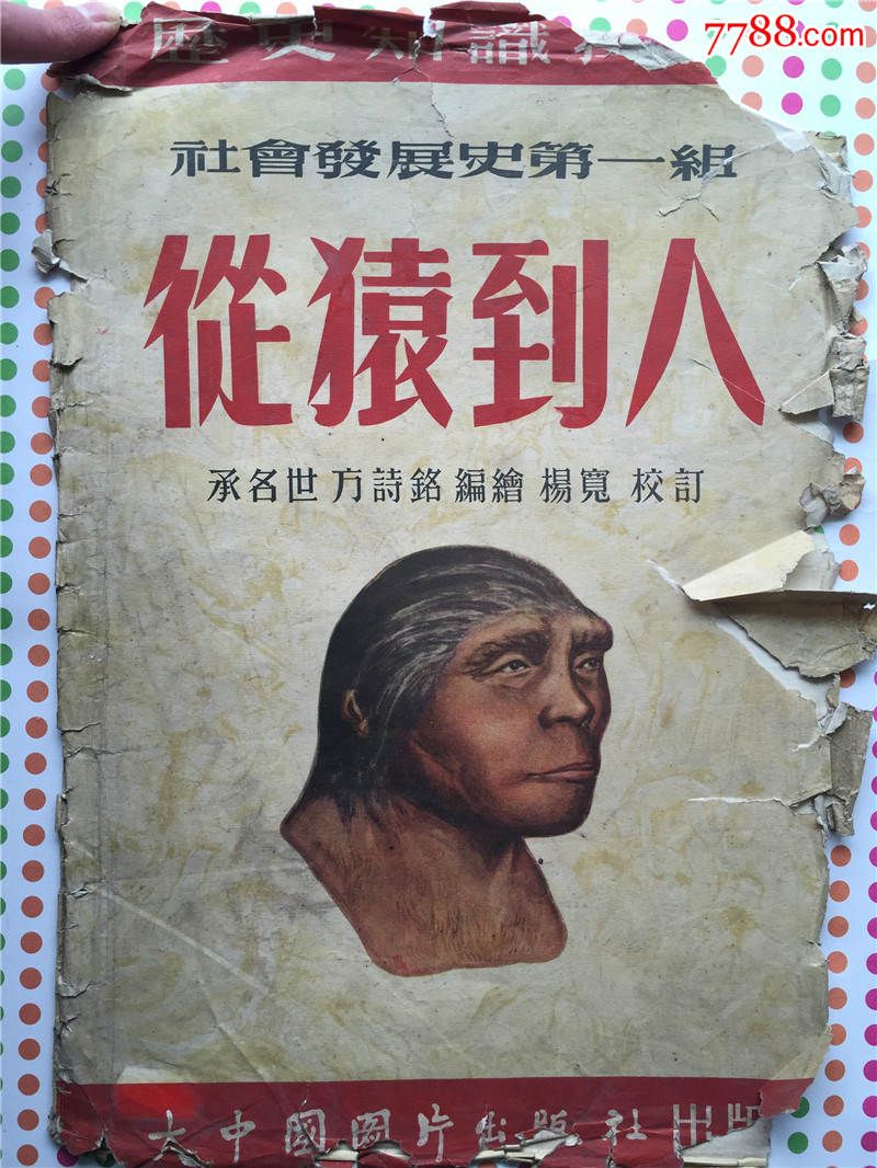 历史知识挂图——从猿到人