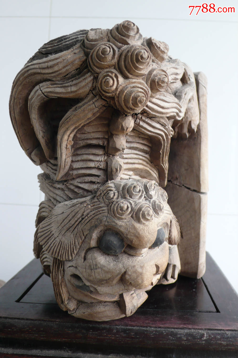 小狮子牛腿一对