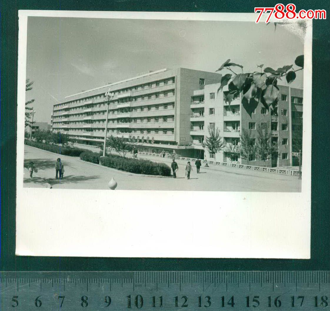 辽化医药商店老照片105厘米13厘米