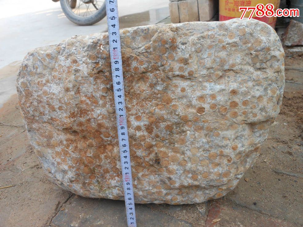 奇石原料石;晋南金钱石又名富贵石42厘米*22厘米*17厘米重约100市斤