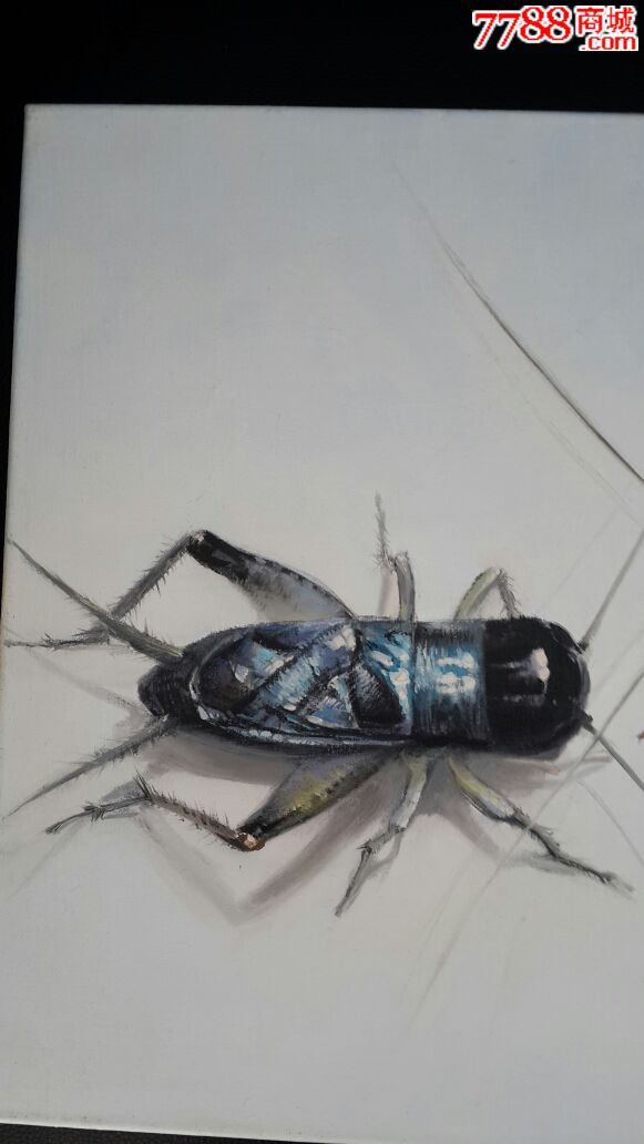 原创布面油画小品斗蟋蟀系列青黄争霸臻品