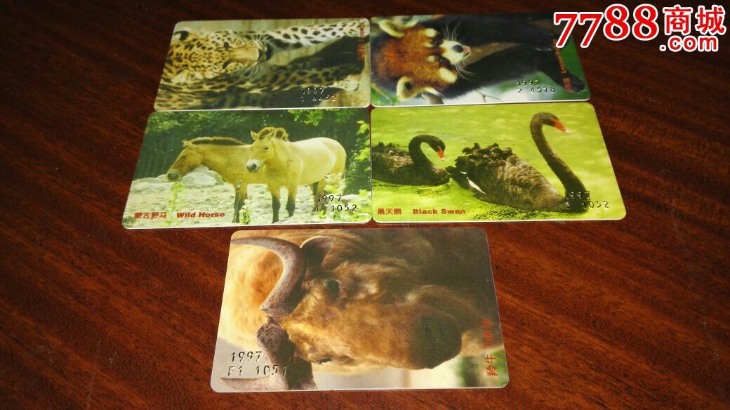 上海动物园之友97珍惜动物系列卡