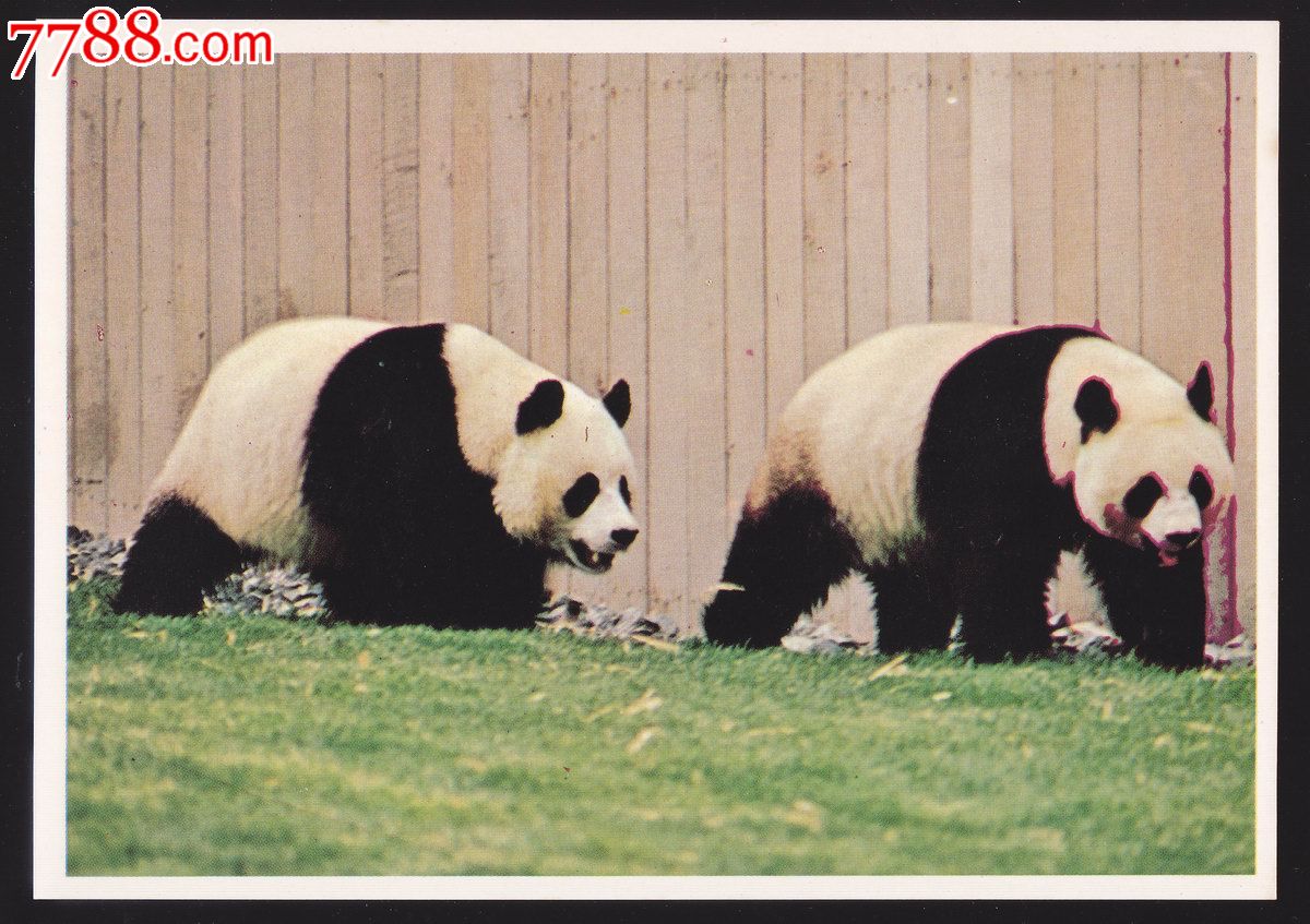 [议价]华盛顿动物园的大熊猫玲玲和兴兴--美国银章纪念品公司1970年代