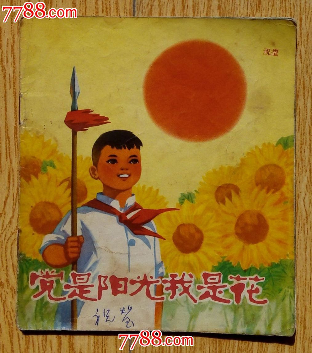 党是阳光我是花