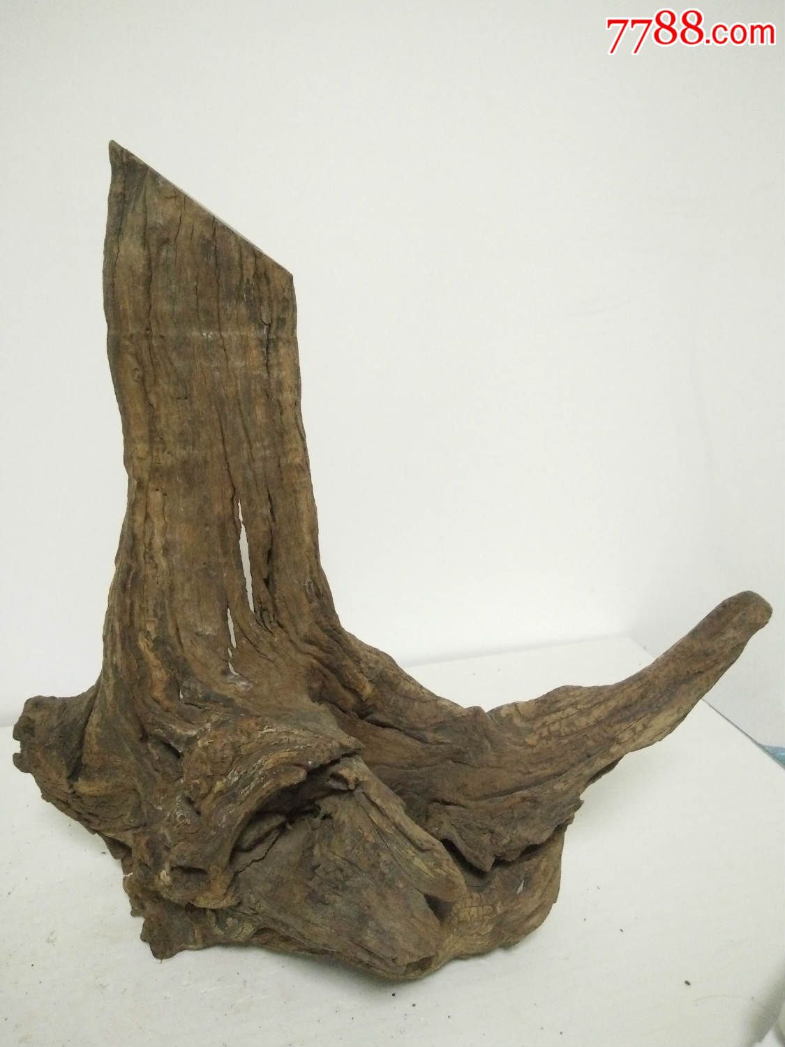 老树根名贵木材3.5公斤多