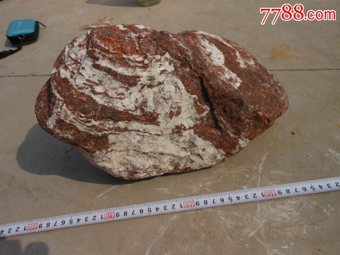 奇石摆件天然原石多变石远看像蜥蜴近看有龙头再细看有一组狐狸逮鼠图