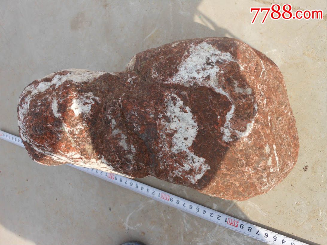 奇石摆件天然原石多变石远看像蜥蜴近看有龙头再细看有一组狐狸逮鼠图