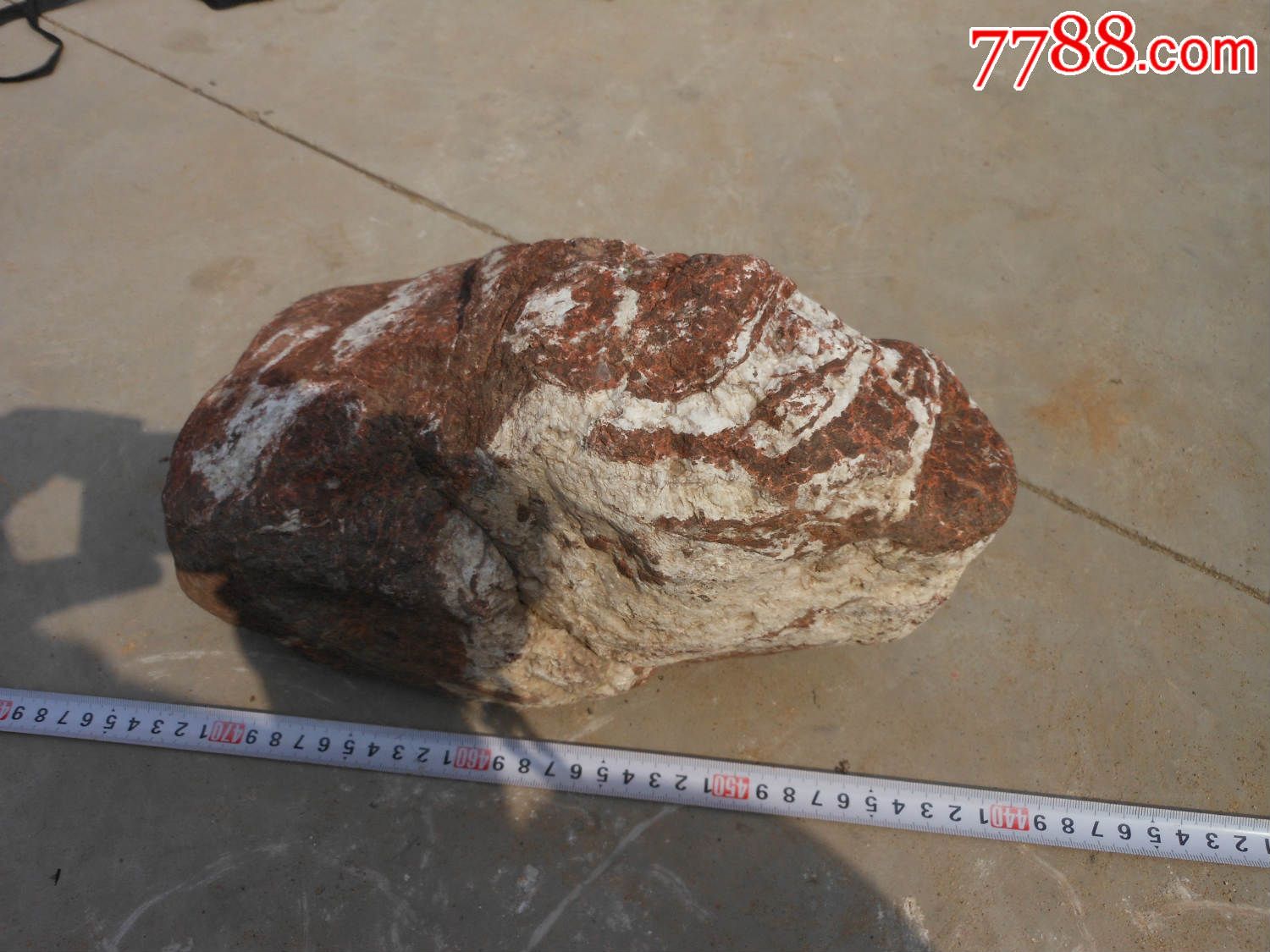 奇石摆件天然原石多变石远看像蜥蜴近看有龙头再细看有一组狐狸逮鼠图