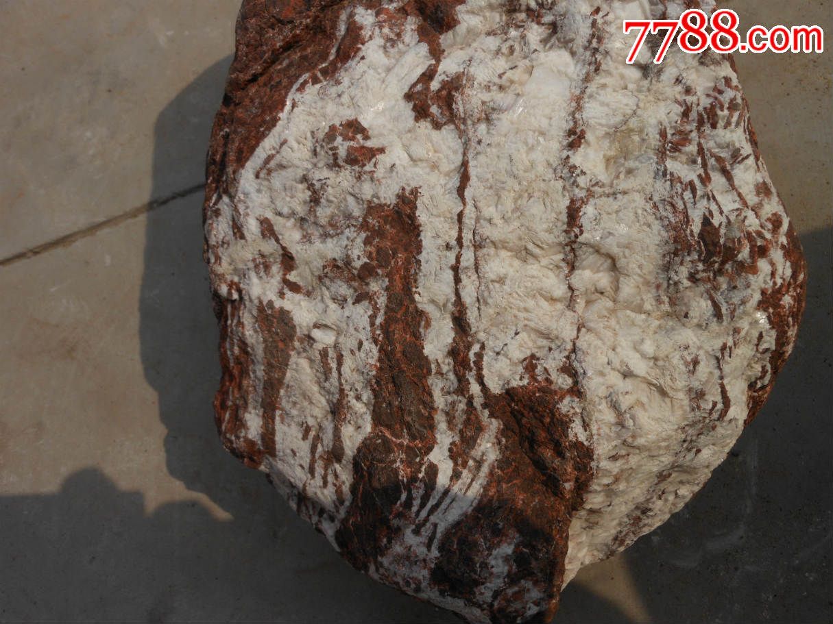 奇石摆件天然原石多变石远看像蜥蜴近看有龙头再细看有一组狐狸逮鼠图