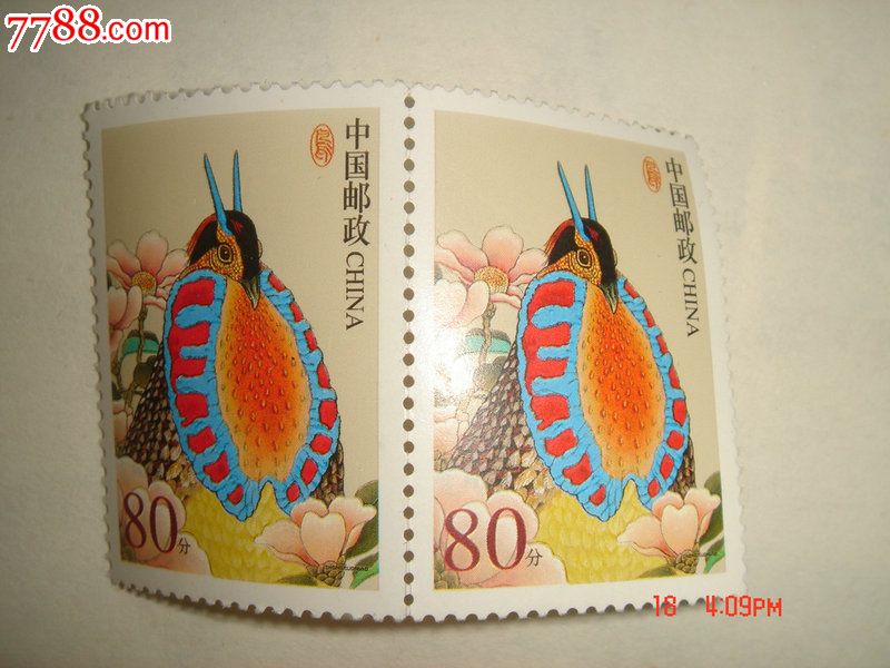 普31《中国鸟-黄腹角雉》80分双联-新中国邮票--se32719546-零售-7788
