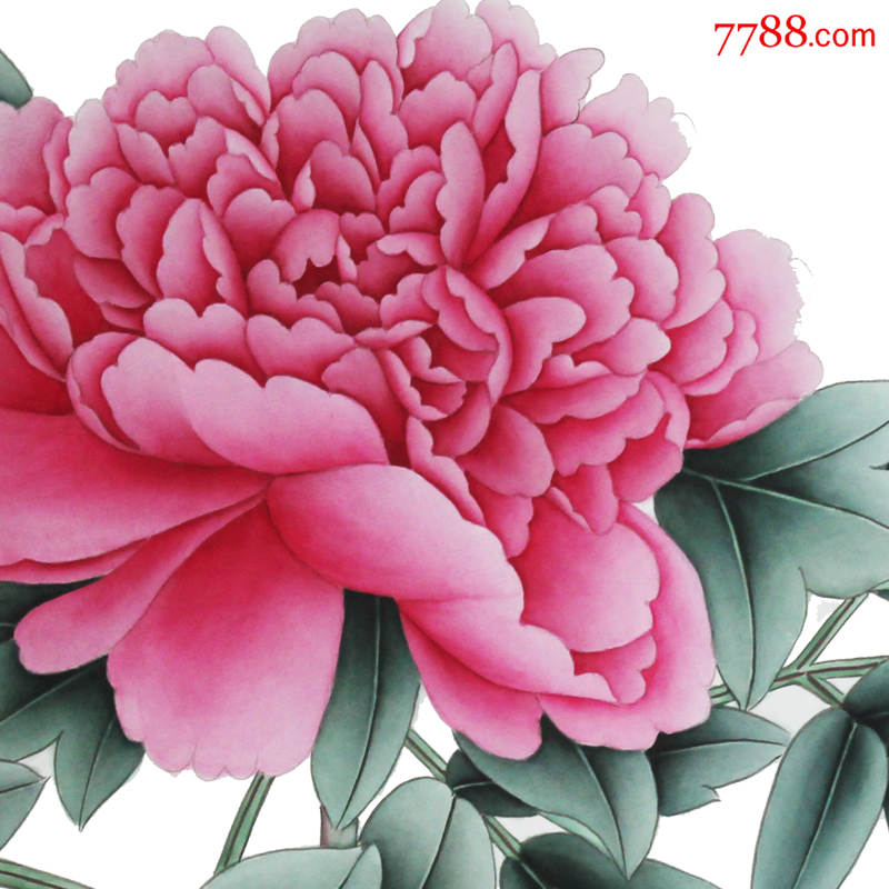 牡丹之都春晖国画工笔牡丹手绘品种红研飞霜高档礼品艺术品收藏_花鸟