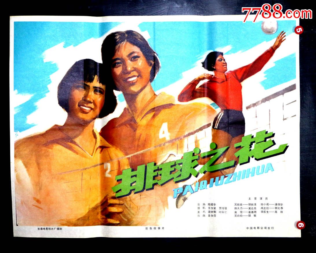 排球之花,电影海报_第1张_7788电影海报
