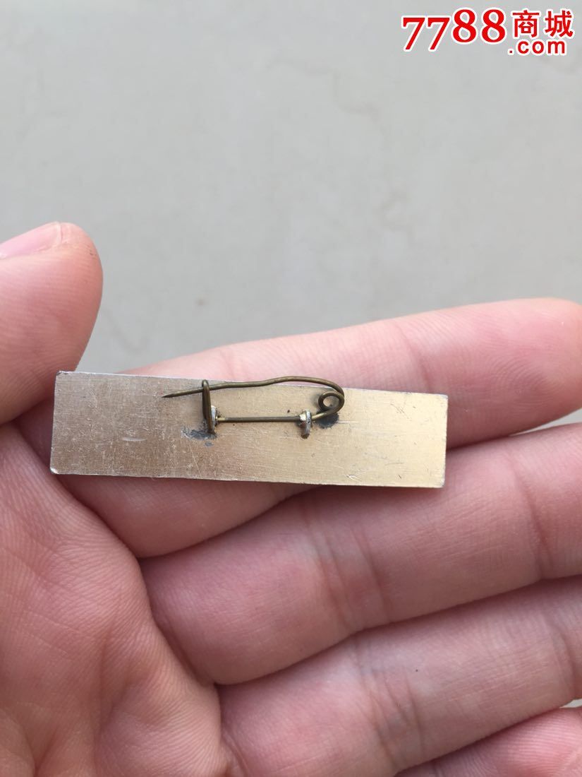 文革时期的湖州中学校徽