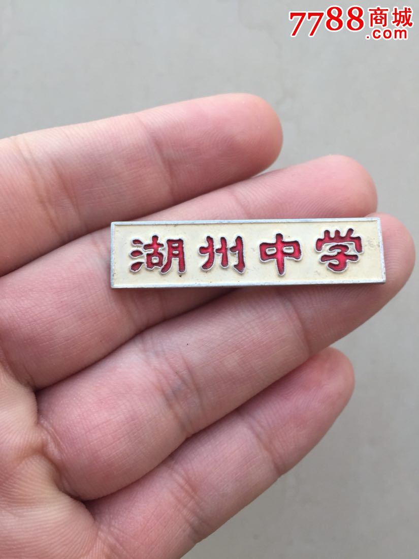 文革时期的湖州中学校徽