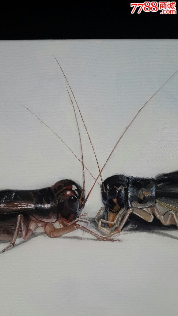 原创布面油画小品:斗蟋蟀系列《铁军开战》臻品!