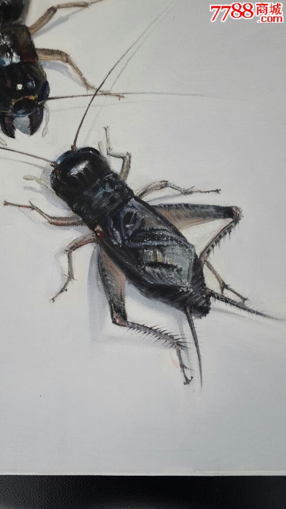 原创布面油画小品:斗蟋蟀系列《巅峰对决》臻品!