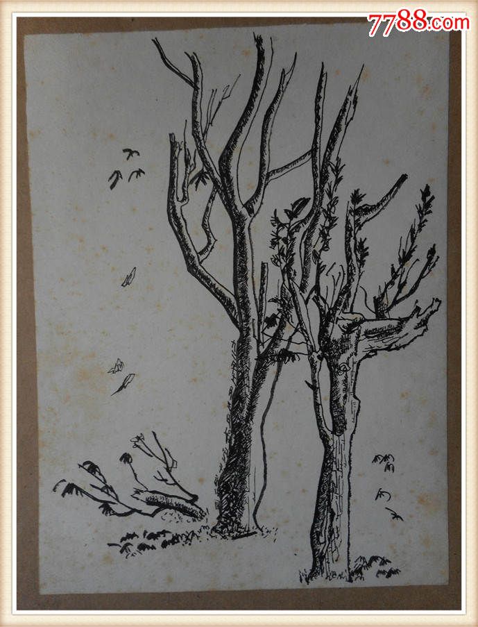 美术作品:小树原稿26cm*19cm12_素描/速写_晨宇书屋【7788收藏__收藏
