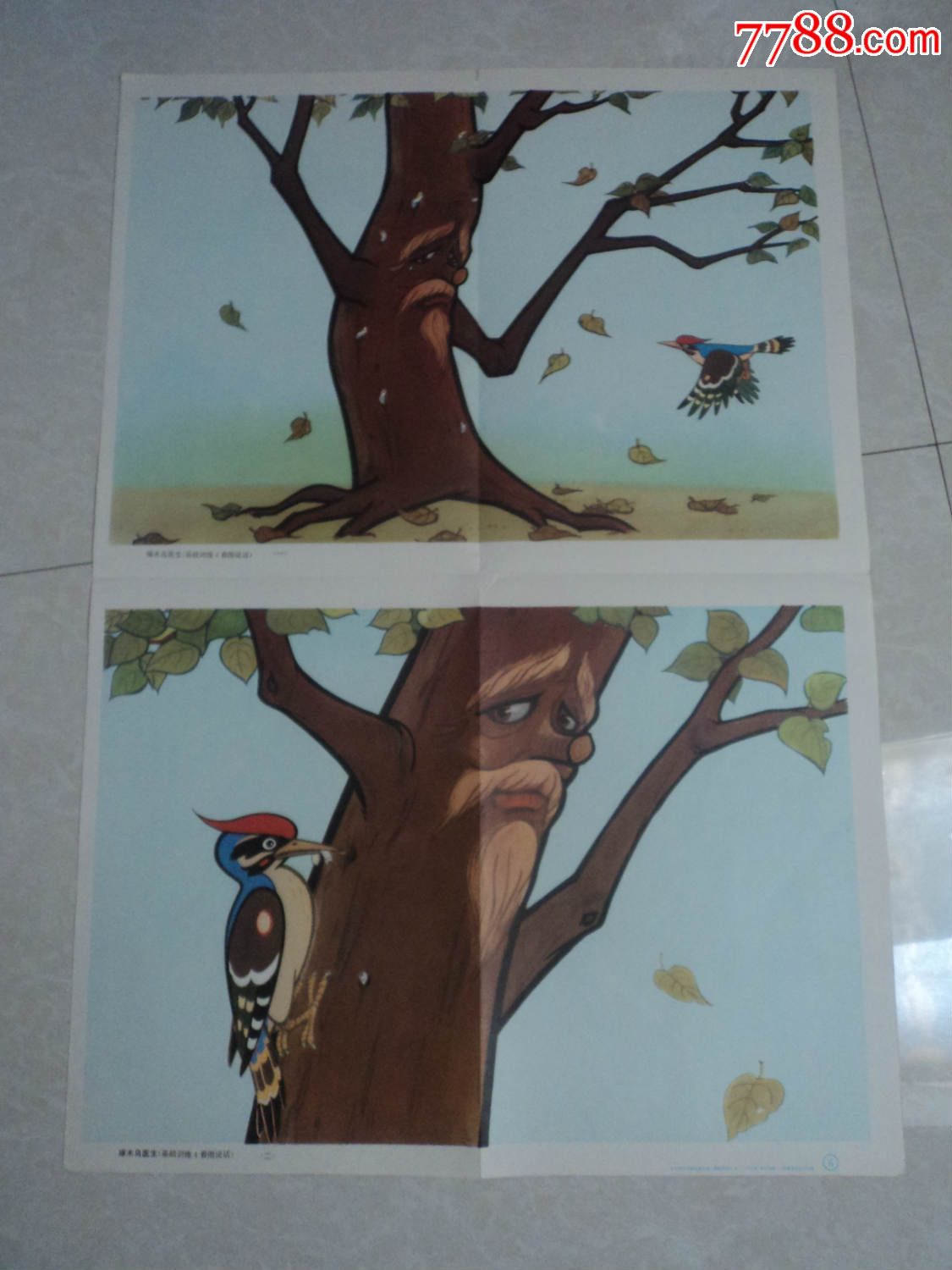 大树和啄木鸟看图写话图片